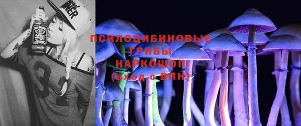 таблы Пересвет