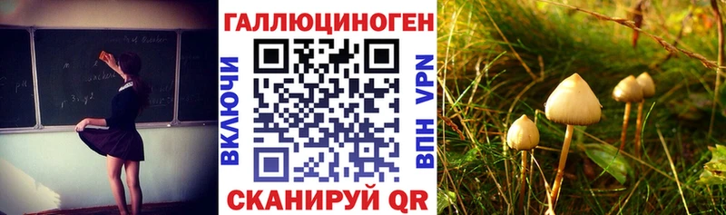 Галлюциногенные грибы ЛСД  Россошь 